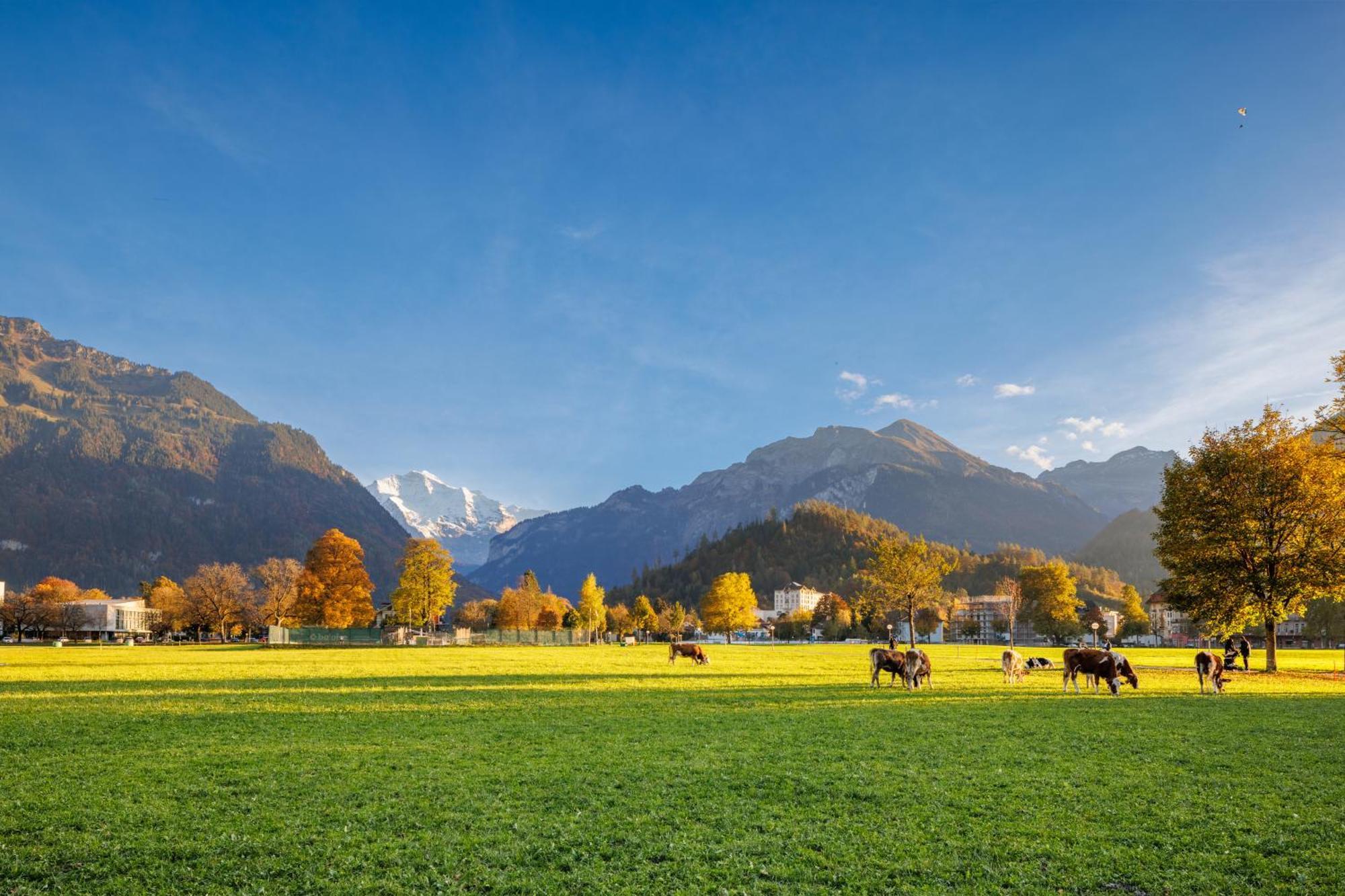 Hapimag Ferienwohnungen Interlaken Eksteriør billede